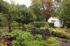 Günstige studentenzimmer im schönsten studentendorf europas! Botanischer Garten Stadt Chemnitz