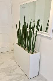 Not as many photons, as the plants use light photons to power the photosynthesis process, in which they rearrange the atoms from co2. Milano Narrow Rectangular Planter Jay Scotts Collection Plant Decor Indoor Rectangular Planters Rectangular Planter Box