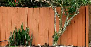 In the first half hour with the book, i'd learned an excellent trick for keeping plants small: 10 Fruit Bearing Trees For Your Home Garden Fruit Bearing Trees Trees