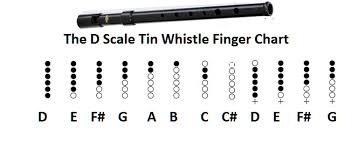 pin on tin whistle