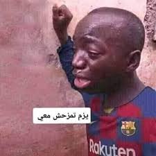 العقبة :الدلافين في واحة إيلة