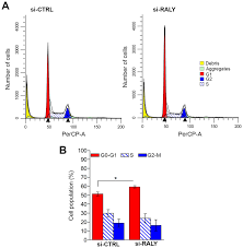 Down Regulation Of Raly Increases The Number Of Panc 1 Cells