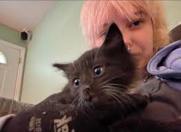 He's so handsome! And my favorite color! 😻