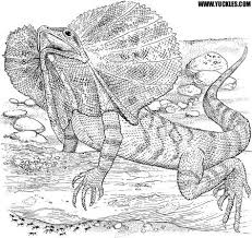 Lizard Coloring Page By Yuckles Dinosaur Coloring Pages Snake Coloring Pages Dinosaur Coloring