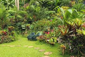 Botanical Garden In Barbados Caribbean Lush Botanical Garden In Barbados Cari Ad Barbados Garden Botanical Bota Barbados Botanical Gardens Garden