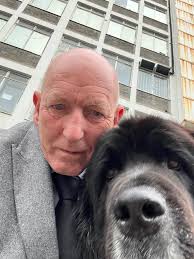 Pete Lewin Newfoundlands