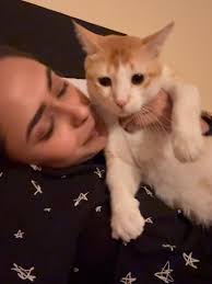 My little Blue bird is with Mother Earth now… and even as I write this, I  still can’t process that he’s gone., I never planned on adopting a cat. I  always thought I was a dog person because I had ...