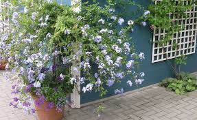 Maybe you would like to learn more about one of these? Fundament Furs Gartenhaus Mein Schoner Garten