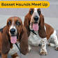 Basset Hound Meetup @ Dog Pub Social – November.... event in Dunedin, FL