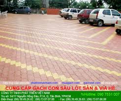 Gạch con sâu bóng XM - CÔNG TY PHÁT TRIỂN VIỆT NAM