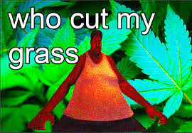 Memes are diverse and unpredictable, just like the members of gen z who communicate. Gen Z Meme Memes