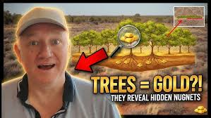 Buscando un compañero para aguas salvajes