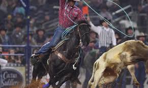Maybe you would like to learn more about one of these? Rodeo New York Brings Western Action Back To Nyc Quarter Horse News