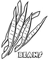 Vegetable potato coloring pages for kids. Printable Vegetable Coloring Pages Topcoloringpages Net