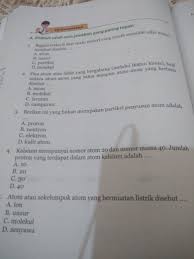 Tolong Donk Besok Dikumpul Brainly Co Id