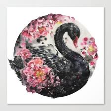 Black Swan With Flower Watercolour Painting Swan Painting Watercolor Flowers Paintings Swans Art