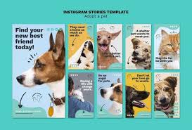 Adopt A Pet Instagram Stories Free Psd Free Psd Freepik Freepsd Mascotas Animal Domestico Tienda De Animales