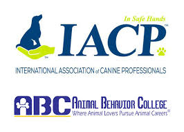 Animal behavior classes teach you the skills you need to work in training, grooming, or as a vet tech. Otbt Online Dog Training Courses Dog Training Videos And Lessons