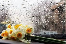 Pin On Flower
