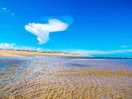 100 padre blvd, south padre island, united states. Best Things To Do On South Padre Island Texas