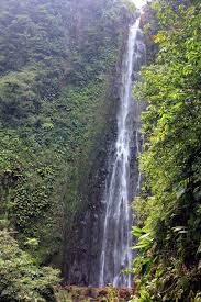 Find the perfect guadeloupe national park stock photos and editorial news pictures from getty images. Reiseabenteuerlich Karibik Tag 18 Wandern Im Nationalpark Guadeloupe
