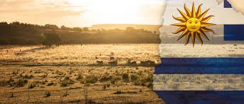In relative terms, its middle class is the largest in america, and represents more than 60% of its population. Uruguay Block Fleischerei Gmbh