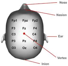 Electrode Positioning In Transcranial Direct Current