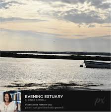 Dawn Hofheimer (@healthdawn)