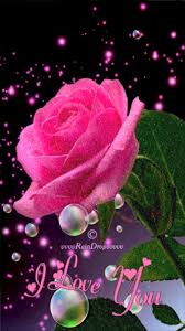 Https Encrypted Tbn0 Gstatic Com Images Q Tbn And9gcqk4j3 Os3hawllygjspro4z6zyphxlxckfaw Usqp Cau