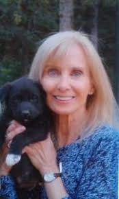 Haven Lake Animal Hospital