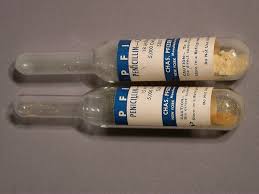 Image result for Penicillin
