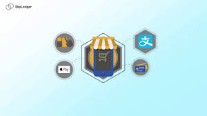 Self dubbed as the third generation blockchain, cardano is a decentralized system, based on blockchain and very much like ethereum it is a smart contract platform, thus it can be used to run decentralized apps (dapps). Skyledger The Third Generation Blockchain Platform Youtube