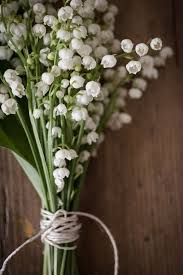 Lily Of The Valley Reminds Me Of My Papa And My Childhood I Must Have These In My Bouquet Someday Beautiful Flowers Pretty Flowers White Flowers