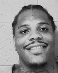 2016 closInG sEnTEncEs BERRIEn counTy couRT