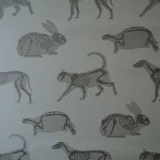 New Wallpaper And Fabric Designs From Paperboy Animal Magic Pet Clinic Animal Wallpaper