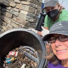 Friends of Swannanoa, NC