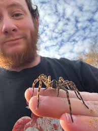 All Bugs Go to Kevin