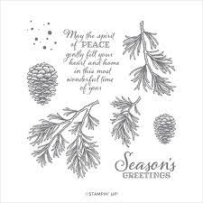 Stampin Up Peaceful Boughs With Cherish The Season Bundle Stamp Set Frame Card Stampin Up