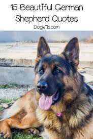 Check spelling or type a new query. 15 Beautiful German Shepherd Quotes Dogvills