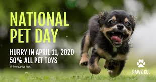 Well if you have run out of ideas to celebrate the day, we have got you covered. 5 Creative National Pet Day Social Media Graphics Amp Amp Templates By Ryan Mccready Linkedin