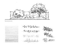In plan view, they define plant beds and hardscape areas. Drawing For Landscape Architects Landscape Architecture Drawing Landscape Architect Landscape Sketch