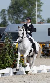 Presentatrice en youtuber britt dekker en haar paard george hebben de hoofdrol in een nieuwe paardenfilm. Grootse Premiere Van Talpa Paard George Met Britt Dekker Horse Event
