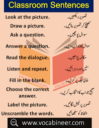 The auxiliary verb of werden is sein. Daily Use Sentences In Classroom With Urdu Hindi Translation English Phrases Sentences Learn English Words English Phrases