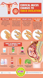 Pin On Health