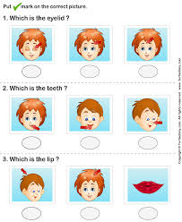 The best selection of royalty free human face parts vector art, graphics and stock illustrations. Human Face Worksheet2 Engelska