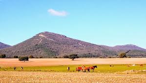 Hacienda la jara cuenta con diversos espacios tanto exteriores como interiores para la celebración de la ceremonia y el banquete de boda con una capacidad máxima de hasta 600 invitados. Salvemos El Mundo Belvis De La Jara Al Mirador De Bellavista Por Sendero Pr To 25