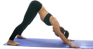 Pin On Yoga