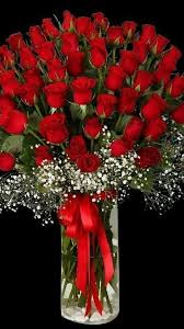 Pin By زری اسلامی On Rote Rose Flower Wallpaper Valentines Flowers Birthday Flowers Bouquet