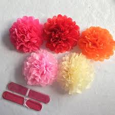 Baotongle 12 pcs cheerleading pom poms hand flowers cheerleader pompoms sports dance cheer plastic pom pom for sports team spirit cheering ball dance fancy dress night party 4.6 out of 5 stars 39 1 offer from $11.99 Buy Newcomdigi Christmas 6 10 Diy Tissue Paper Pom Poms Flower Ball For Party Wedding Decoration Festi At Affordable Prices Free Shipping Real Reviews With Photos Joom