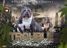 Abkc Bully King Magazine